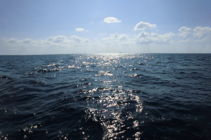 海洋散骨って何？法律的な問題は？イメージ