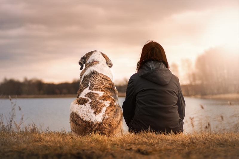 「ペット終活」に必要な3つのことイメージ