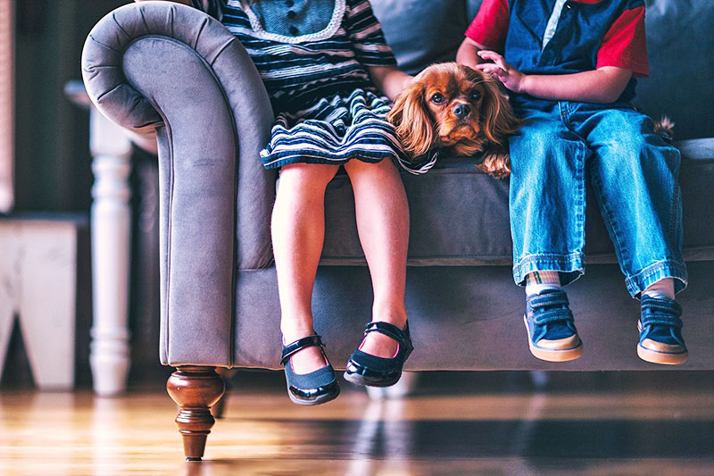 「実際にあったペット葬トラブルとその対策」イメージ