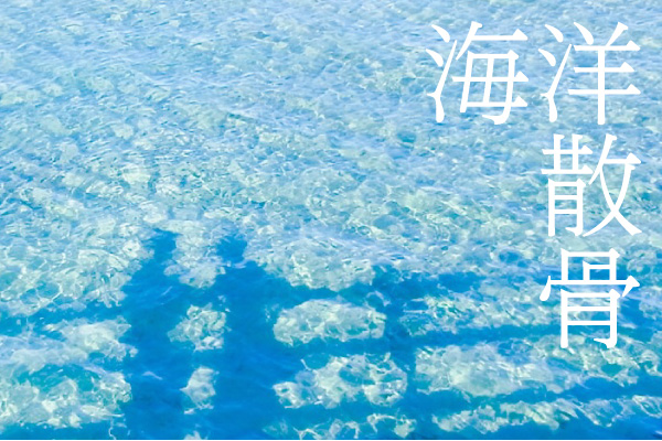 オーシャンメモリアル（海洋散骨）イメージ