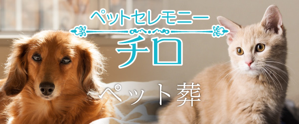 ペットセレモニー・チロ