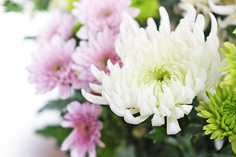 専用会館にて面会及びお別れの説明写真（花が写っている）