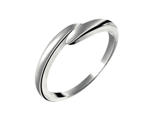 リング（傍（かたえ））の写真